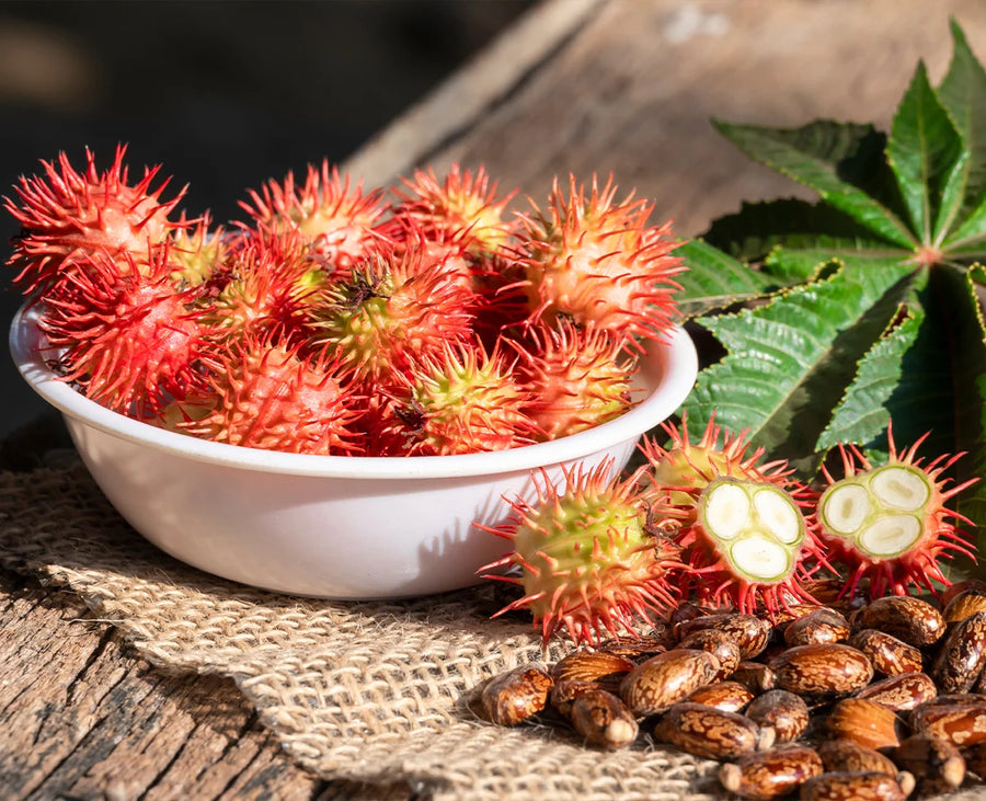 Castor Oil