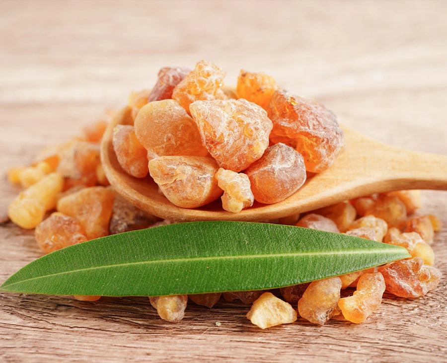 Frankincense Essential Oil