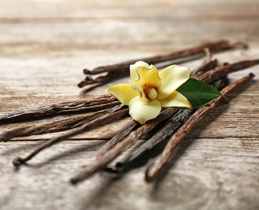 Vanilla Essential Oil